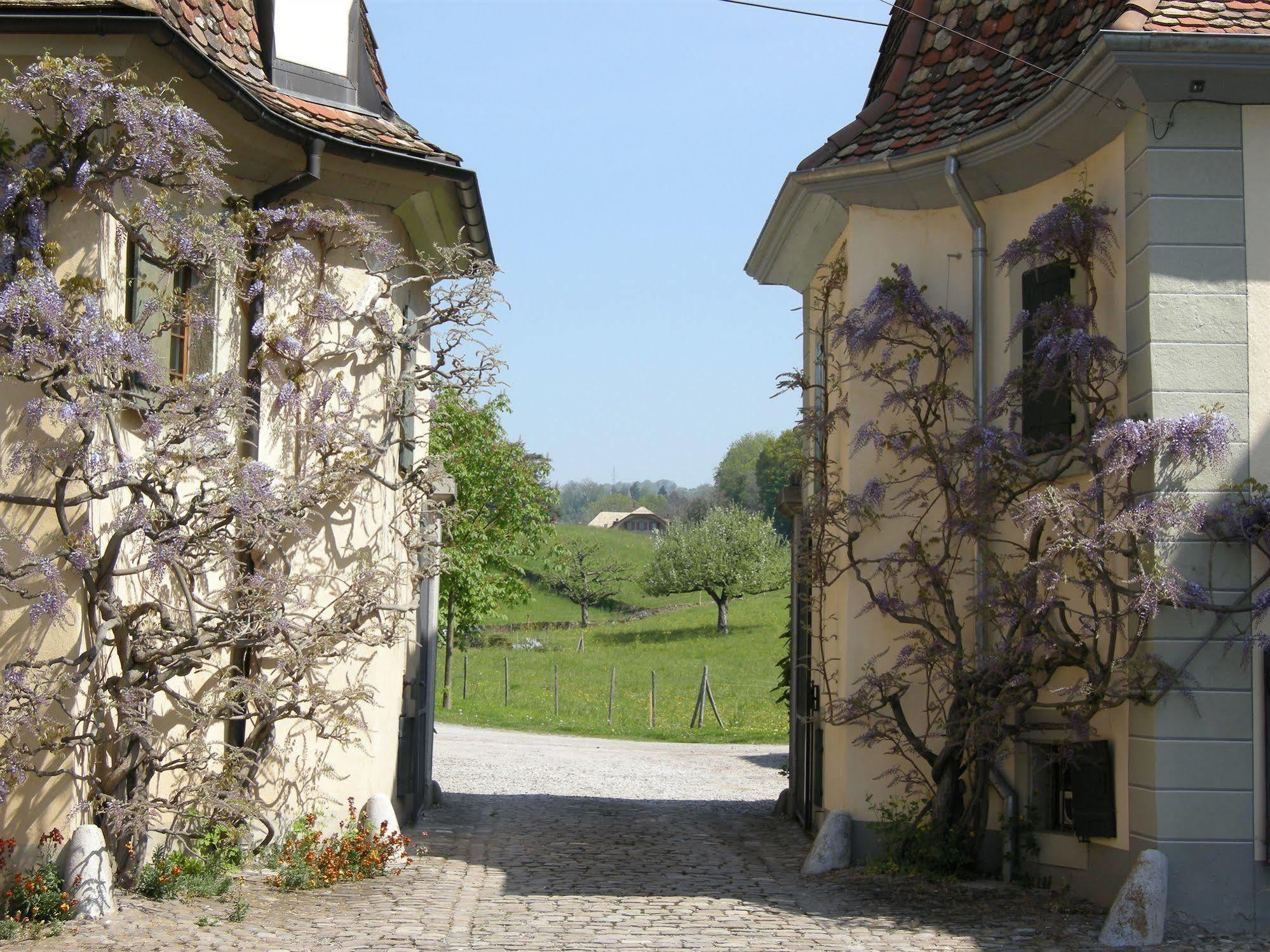 Hotel De La Vieille Tour La Tour-de-Peilz Eksteriør bilde